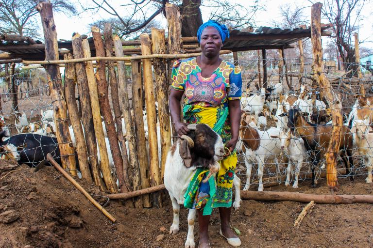 Zimbabwe Resilience Building Fund (ZRBF) transforming lives in the