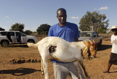 Youths improve livelihoods through resilience building programme