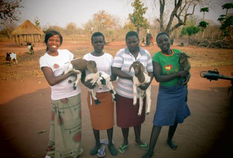 ZRBF Goat Farmers 