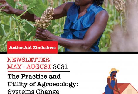 The Practice and Utility of Agroecology: Systems Change for Climate Justice