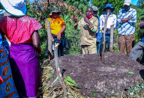 Agroecology training