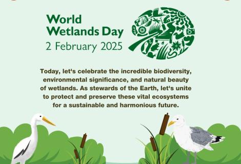 World Wetlands Day