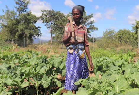 Women in Rural Communities Thriving Through Agroecology