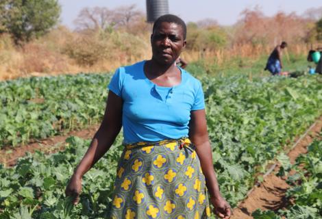 ActionAid Zimbabwe 2024 Annual Report