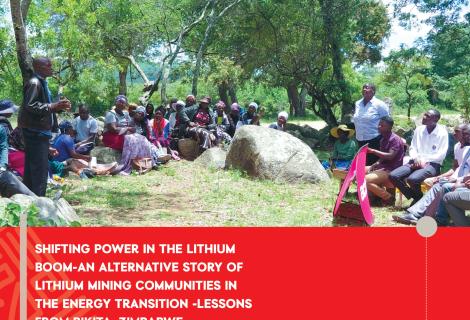 Case Study- Bikita Minerals