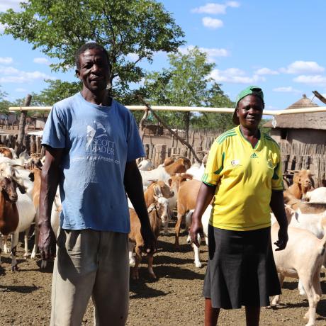 Most goat producers are practising informal production