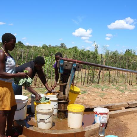 Women from Mandiashare Villiage collecting water from the rehabilitated boreholes and washing their vegetables watered using the borehole water.                                                          