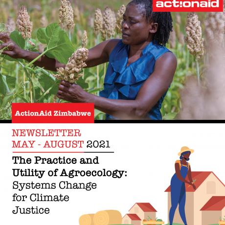 The Practice and Utility of Agroecology: Systems Change for Climate Justice