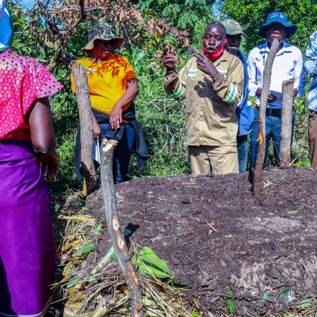 Agroecology training