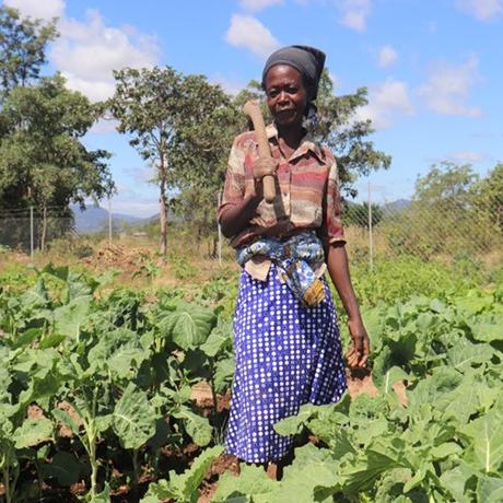 Women in Rural Communities Thriving Through Agroecology