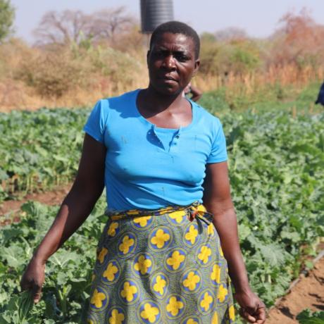 ActionAid Zimbabwe 2024 Annual Report