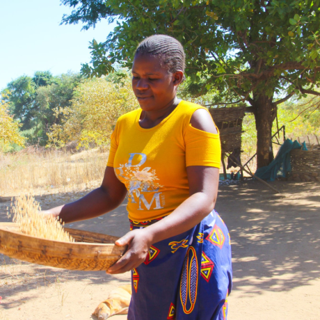 SEEDS OF RESILIENCE:  ‘SMALL’ SESAME BRINGS  ‘BIG’ SMILES TO MBIRE  FARMERS