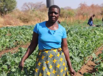 ActionAid Zimbabwe 2024 Annual Report