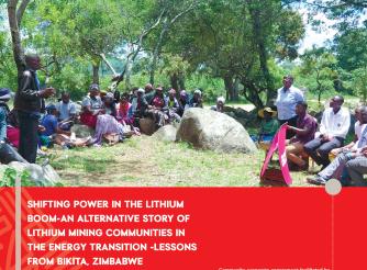 Case Study- Bikita Minerals