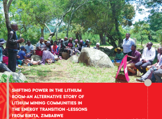 Cover picture Bikita Case Study