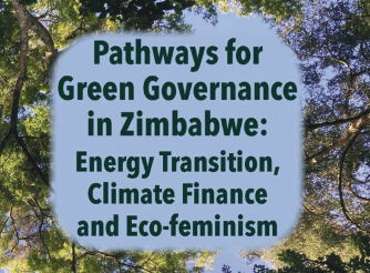 Pathways for Green Governance in Zimbabwe: Energy Transition, Climate Finance and Eco-Feminism